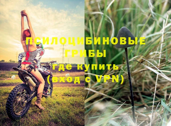гидропоника Белокуриха