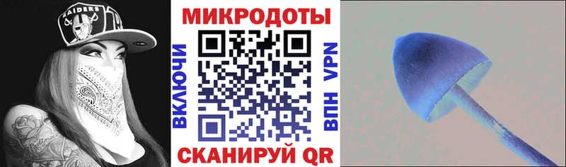 Купить  Пролетарск  Галлюциногенные грибы Magic Shrooms 